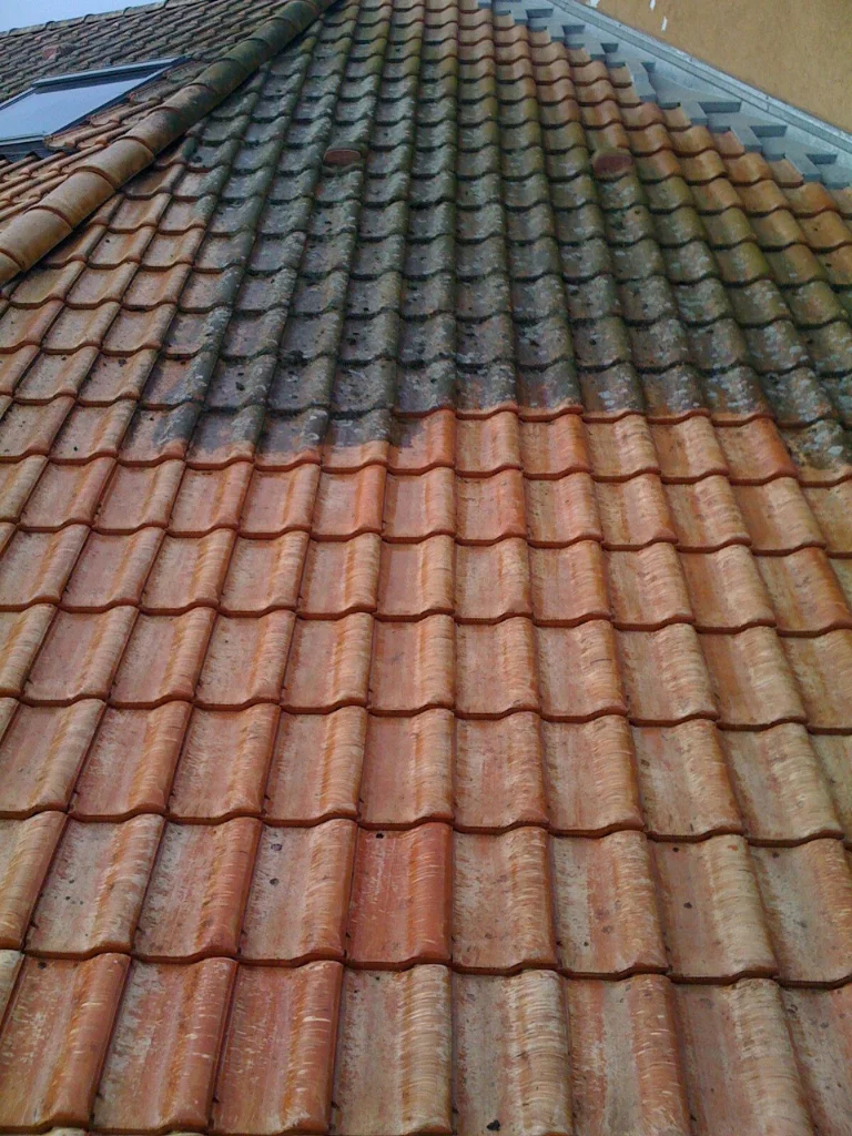 Rénovation entretien toiture Suisse